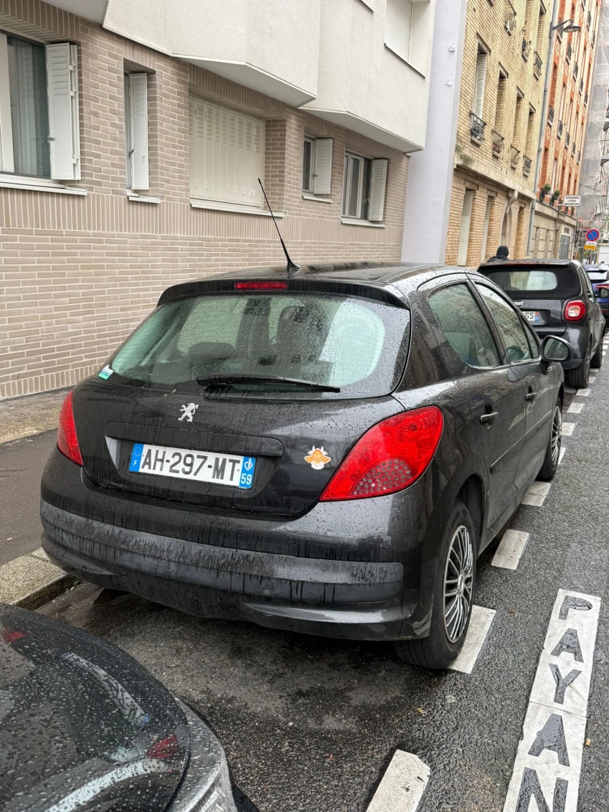 Peugeot 207 — photo 6