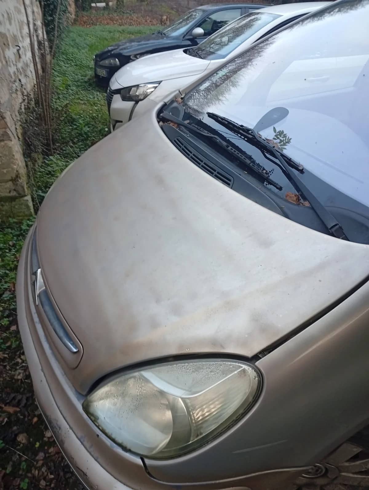 Citroen Xsara Picasso — photo 3