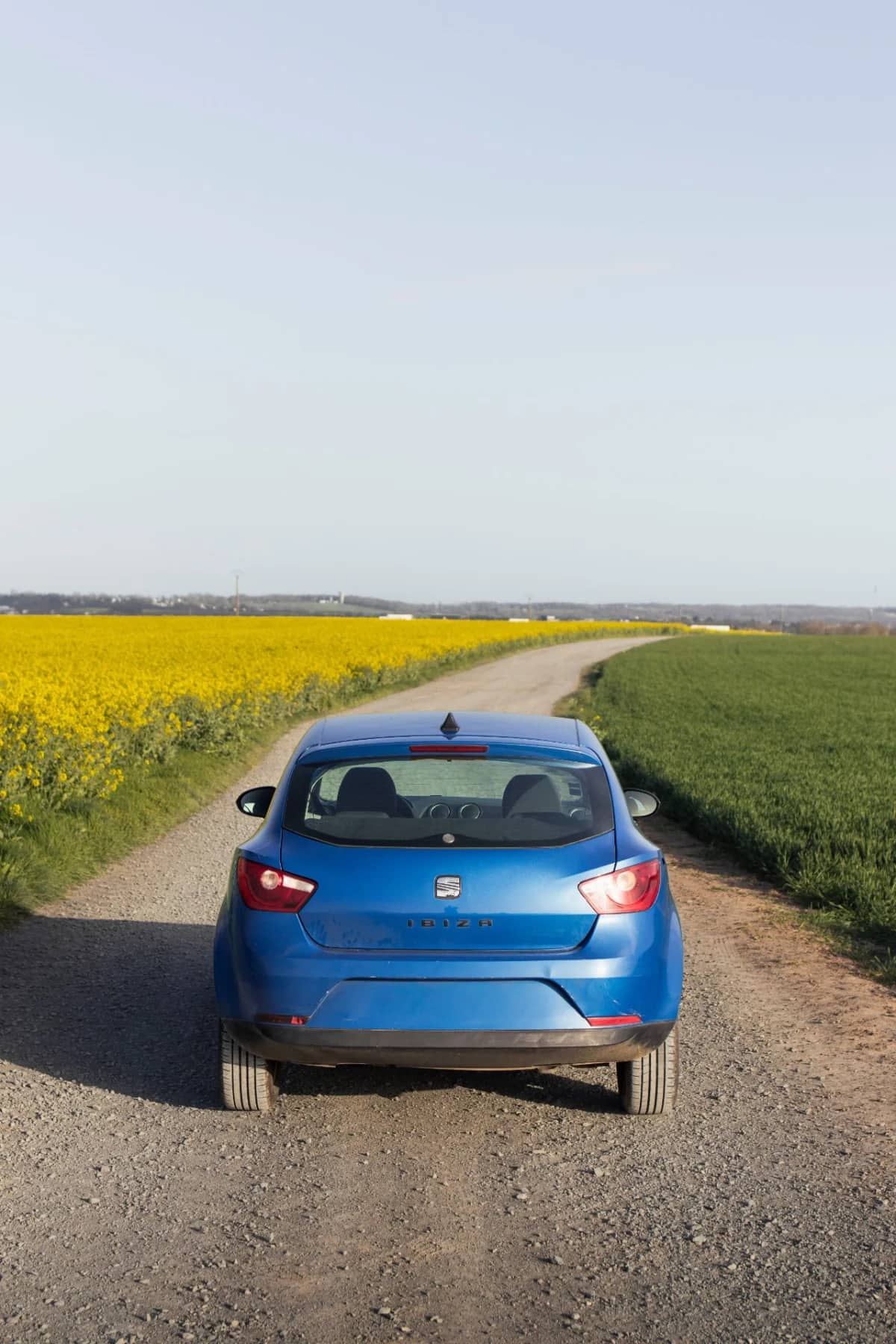 SEAT Ibiza — photo 2