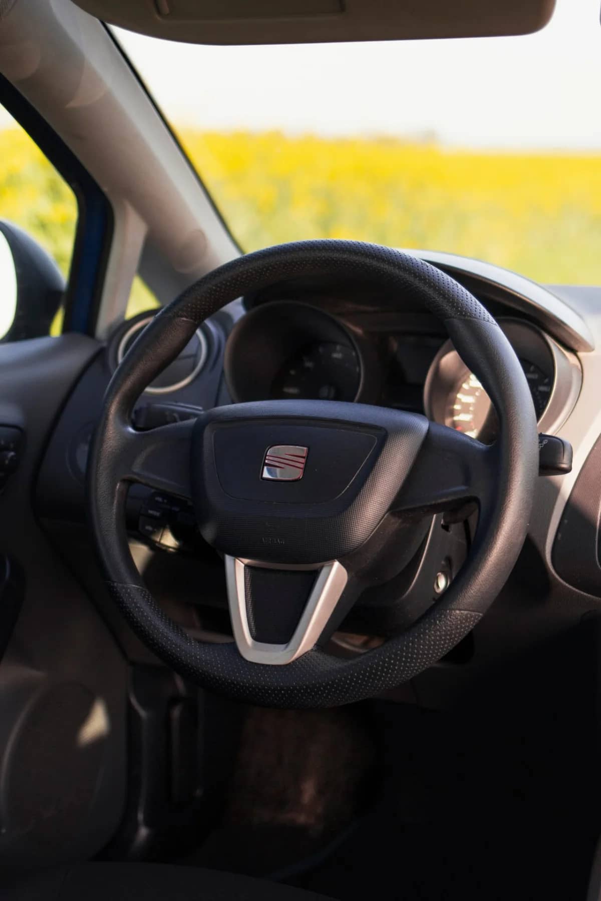 SEAT Ibiza — photo 4