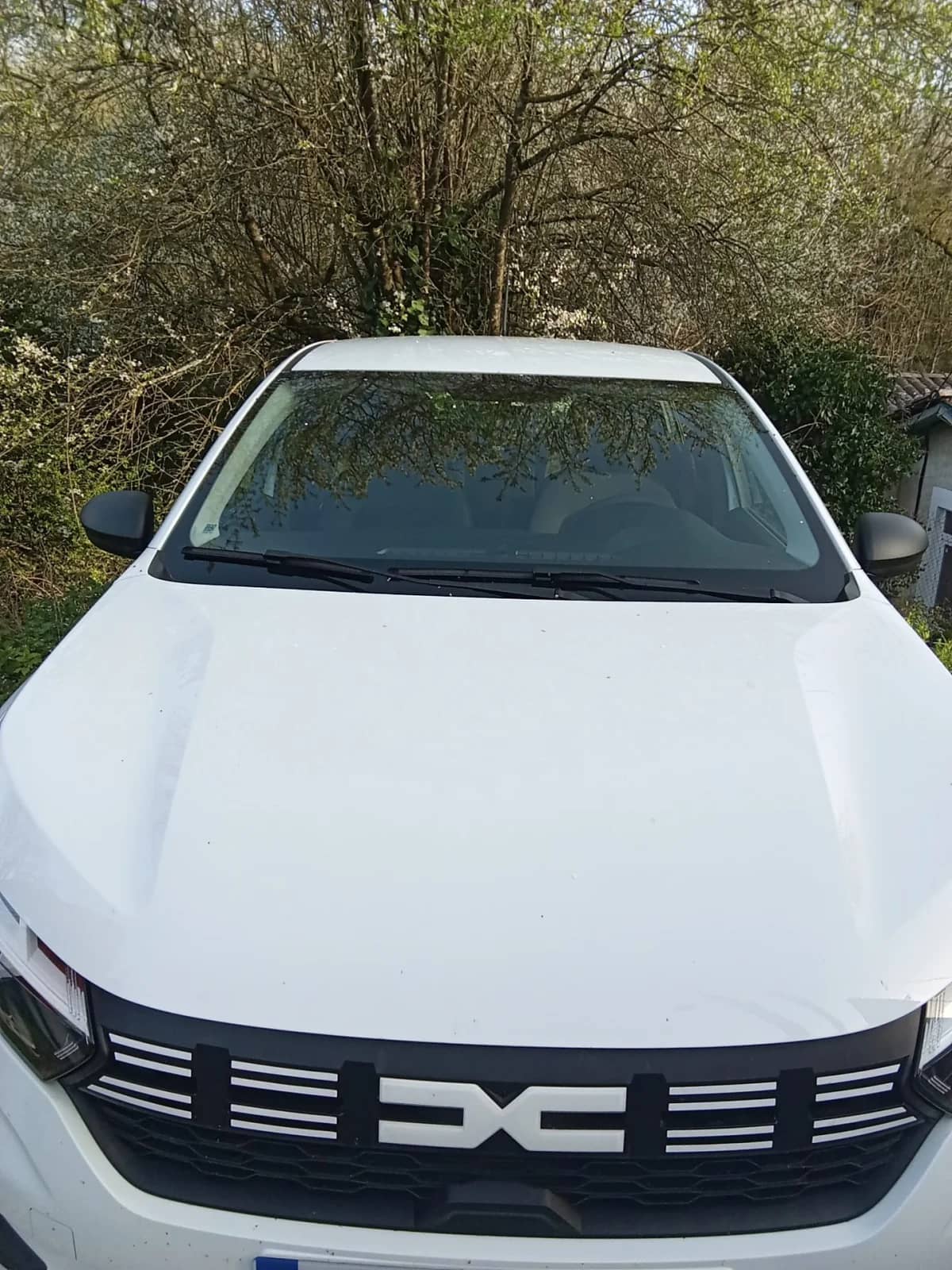 Dacia Sandero — photo 2