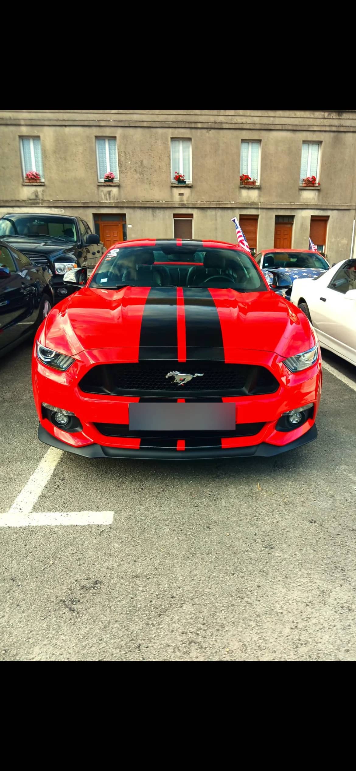 Ford Mustang — photo 3