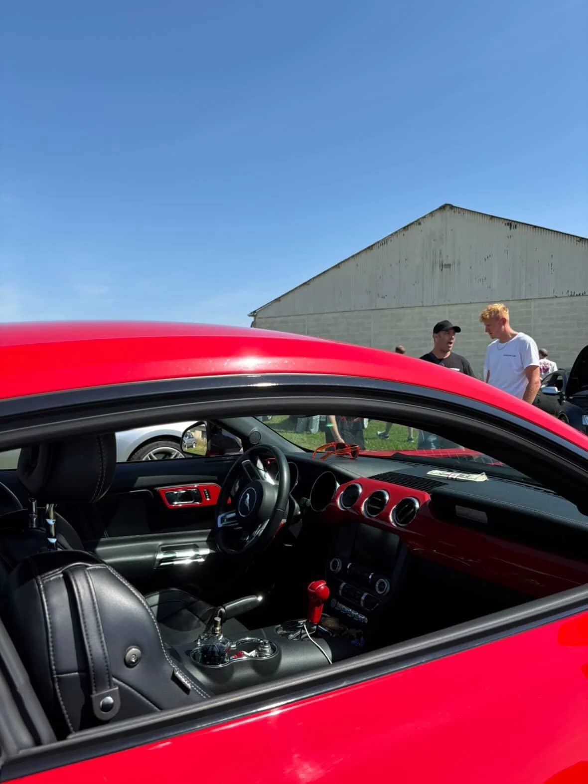 Ford Mustang — photo 5