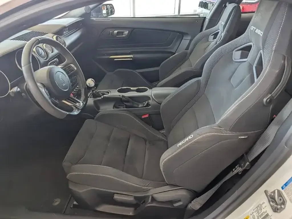Ford Mustang — photo 12